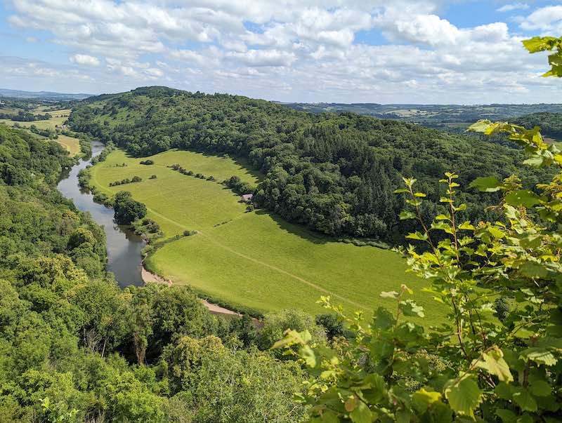The Forest of Dean
