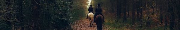 Pony Trekking in the Forest of Dean